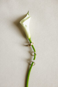 Detail shot of wedding couples rings on lily.